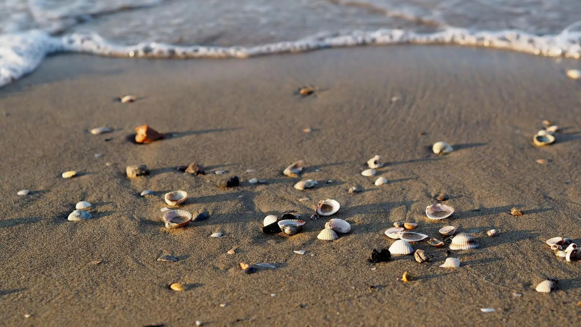 Embrace The Sea Breeze In Bibione Apartment 0*,  Italy